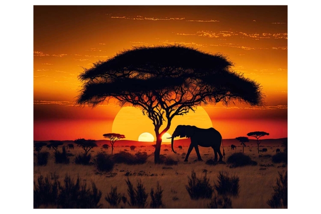 Kit diamond painting, savane, 40x50 cm - Diamond Painting : Kit complet - 10doigts.fr