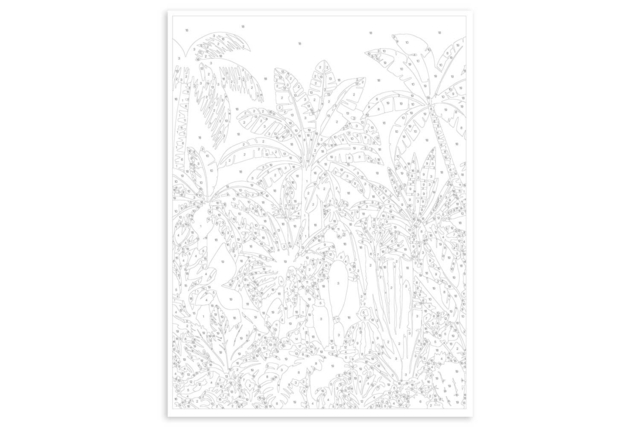 kit Peinture au numero - Nature tropicale - Peinture aux numéros : découvrez l'art du tableau numéroté pour tous - 10doigts.fr