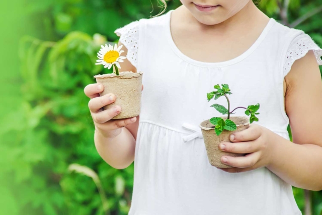 kit plantation - Jardinage enfants - 10doigts.fr