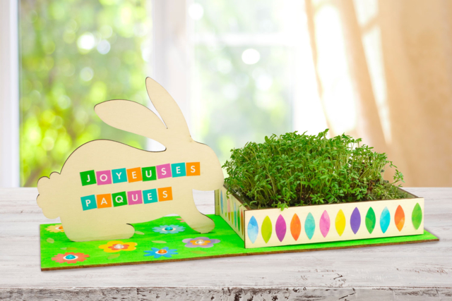 lapin cresson - Kits créatifs Pâques - 10doigts.fr