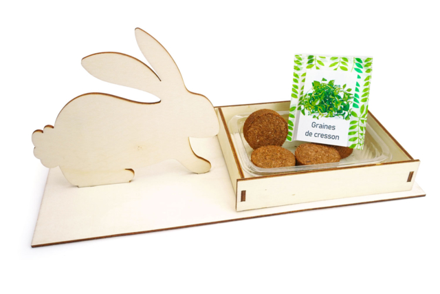 lapin en bois plante - Kits créatifs Pâques - 10doigts.fr