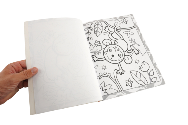 livre de coloriage animaux - Livres de coloriage et dessins : pour apprendre et s'évader - 10doigts.fr