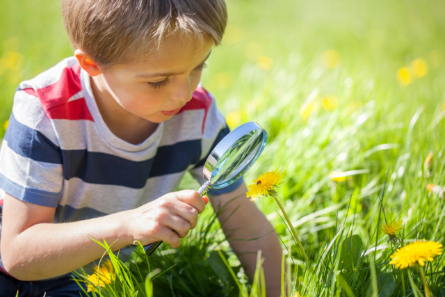 loupe enfant nature - Découverte de la nature : activités d'observation et de création - 10doigts.fr