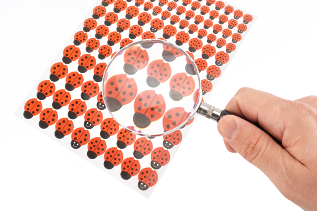 loupe insectes - Découverte de la nature : activités d'observation et de création - 10doigts.fr