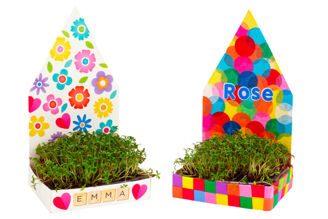 maison herbe fleurs - Kits animaux et nature : créez votre propre univers sauvage - 10doigts.fr