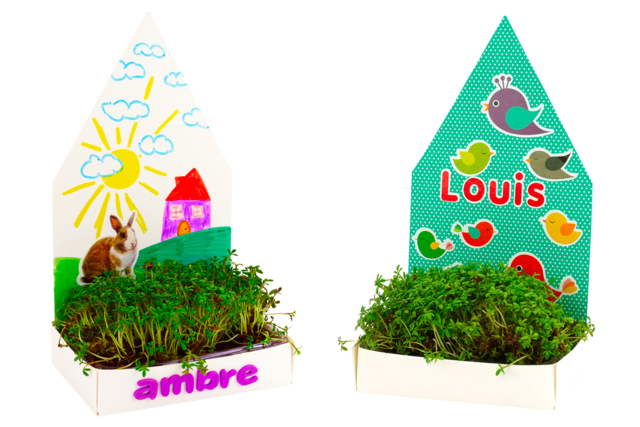 maison jardinière oiseaux - Kits animaux et nature : créez votre propre univers sauvage - 10doigts.fr