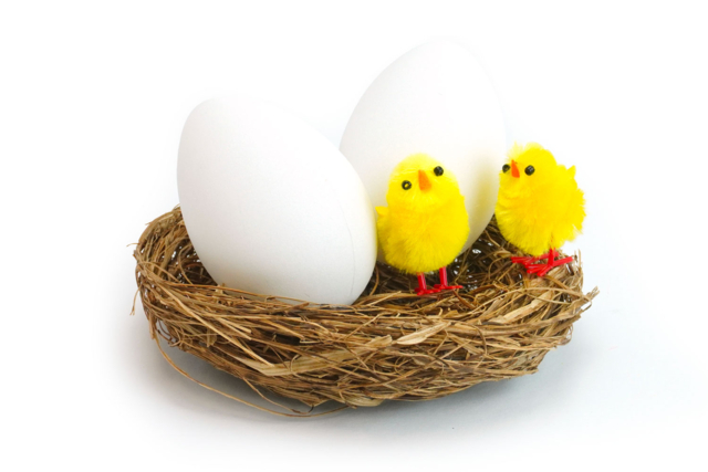 nis de paille oeufs poussins - Accessoires décoratifs de Pâques - 10doigts.fr