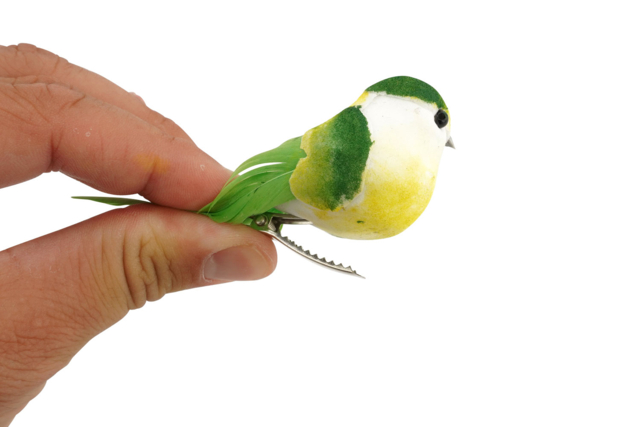oiseau éaliste sur pince - Décorations à coller - 10doigts.fr