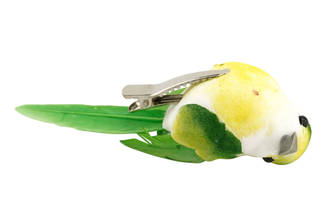 oiseau réaliste coloré - Décorations à coller - 10doigts.fr