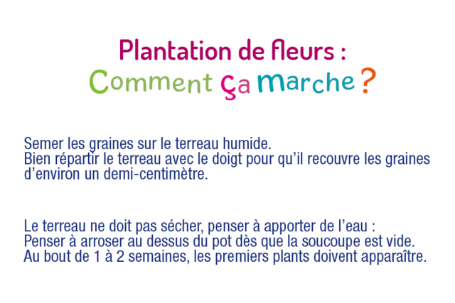 plantation - Jardinage enfants - 10doigts.fr