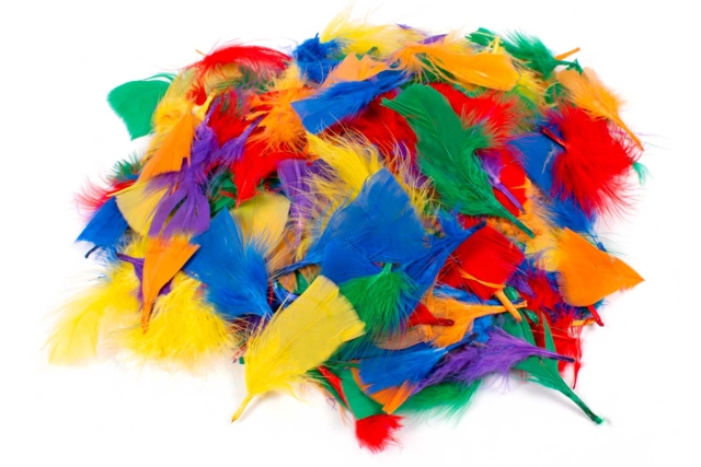 plumes colorées 1000 pièces - Plumes décoratives - 10doigts.fr