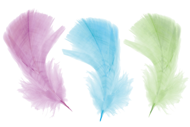 Plumes, couleurs pastels assorties - 50 pièces - Plumes décoratives - 10doigts.fr
