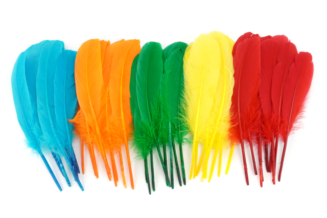 plumes indiennes - Plumes décoratives - 10doigts.fr