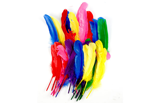 plumes indiennes multicolores - Plumes décoratives - 10doigts.fr