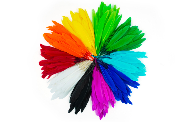 plumes indiennes multicolores - Plumes décoratives - 10doigts.fr