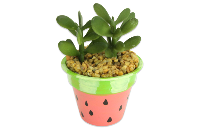 pot cactus pastèque - Plastique Opaque - 10doigts.fr
