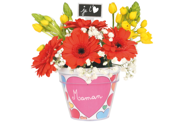Pot de fleurs à colorier maman - Kits animaux et nature : créez votre propre univers sauvage - 10doigts.fr