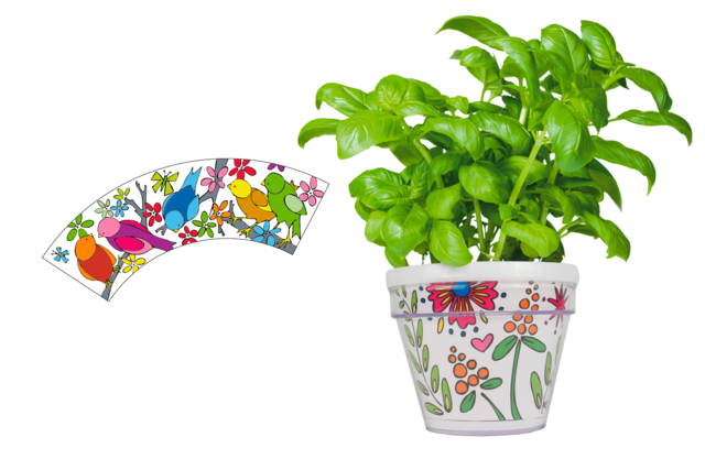 Pot de fleurs à colorier - Kits animaux et nature : créez votre propre univers sauvage - 10doigts.fr