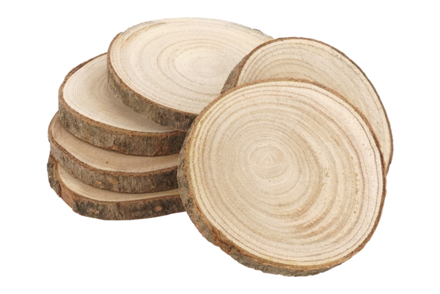 rondin tranche bois 10 cm - Décors nature : matériaux naturels pour les loisirs créatifs - 10doigts.fr