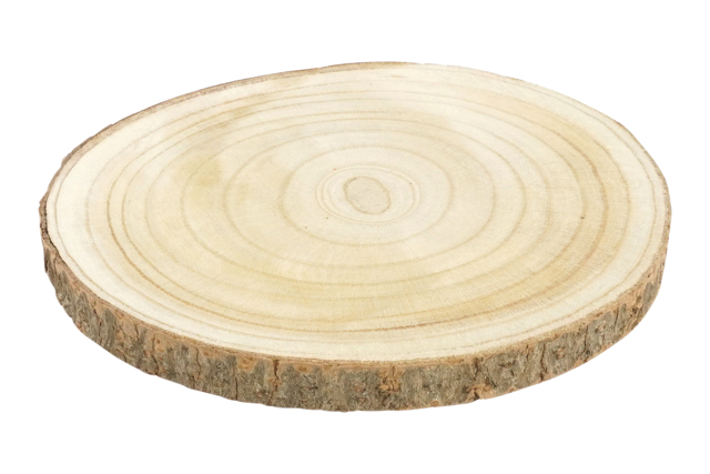 rondin tranche bois 25 cm - Décors nature : matériaux naturels pour les loisirs créatifs - 10doigts.fr