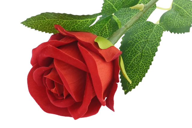 rose artificielle effet velours - Fleurs et végétaux pour l’Art Floral : La nature à l'honneur - 10doigts.fr