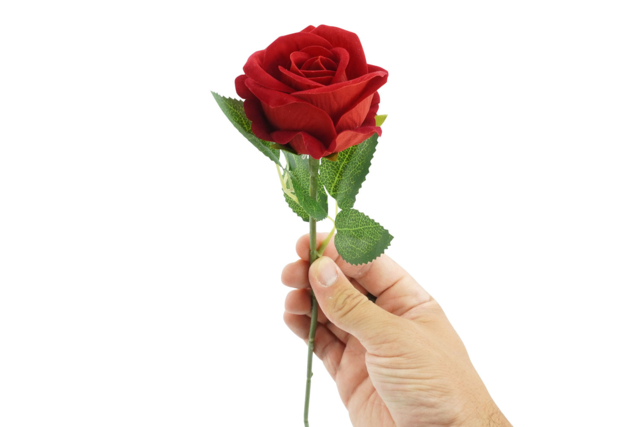 rose artificielle - Fleurs et végétaux pour l’Art Floral : La nature à l'honneur - 10doigts.fr