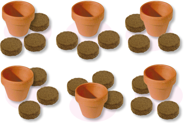 Set horticulteur comprenant 6 pots en terre cuite + 12 pastilles de terreau compressé - Jardinage enfants - 10doigts.fr