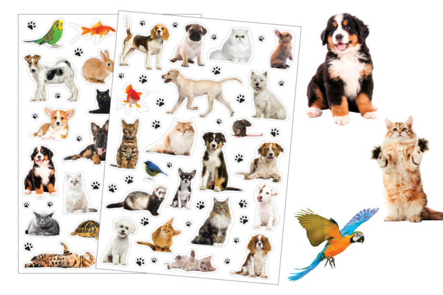 stickers animaux domestique - Gommettes réalistes pour enfants : l’éveil par l’image - 10doigts.fr