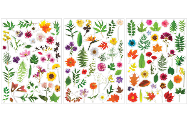 stickers fleurs séchées - Gommettes réalistes pour enfants : l’éveil par l’image - 10doigts.fr