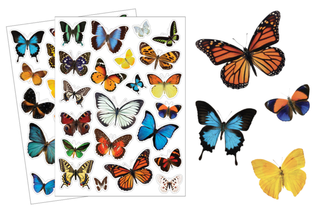 stickers papillons  - Gommettes réalistes pour enfants : l’éveil par l’image - 10doigts.fr