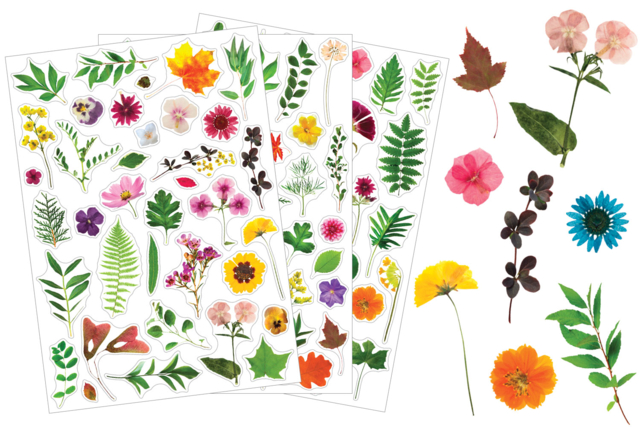 stickers végétaux - Gommettes réalistes pour enfants : l’éveil par l’image - 10doigts.fr