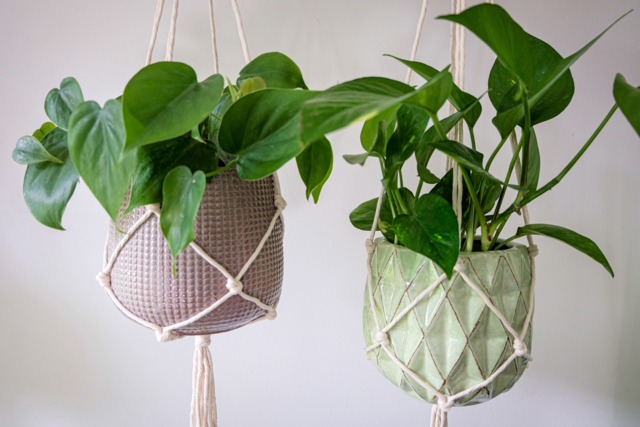 support plantes macramé - Fils pour macramé - 10doigts.fr
