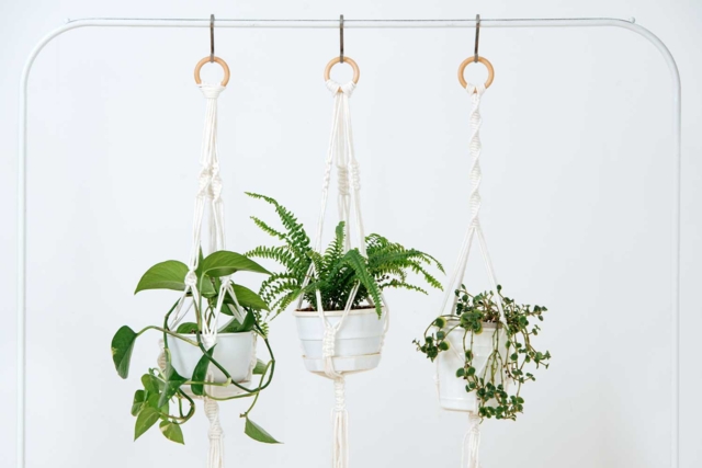 suspensions anneaux bois - Perles en bois - 10doigts.fr