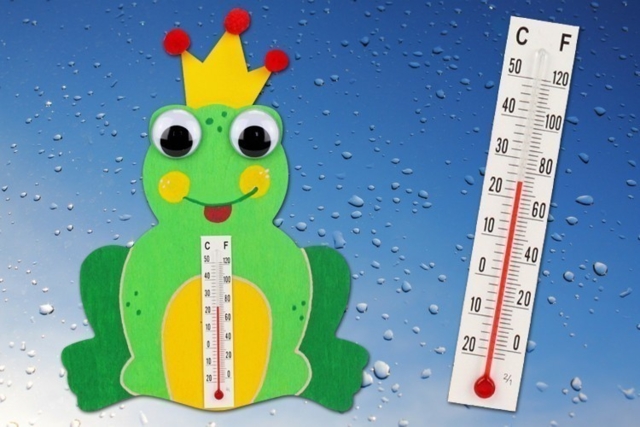 Thermomètre grenouille - Yeux mobiles - 10doigts.fr