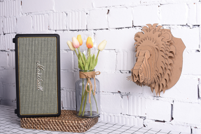 Trophée Lion - Décors en carton - 10doigts.fr