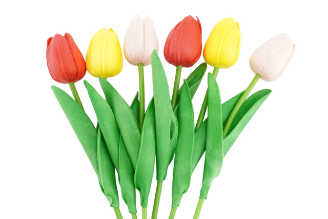 tulipes caoutchouc mousse  - Décorations fleurs et feuilles : ajoutez une touche de nature à toutes vos créations - 10doigts.fr
